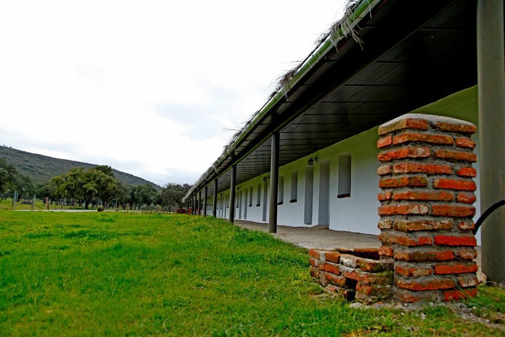 Hotel Rural Puerta De Monfrague Villarreal de San Carlos Bagian luar foto